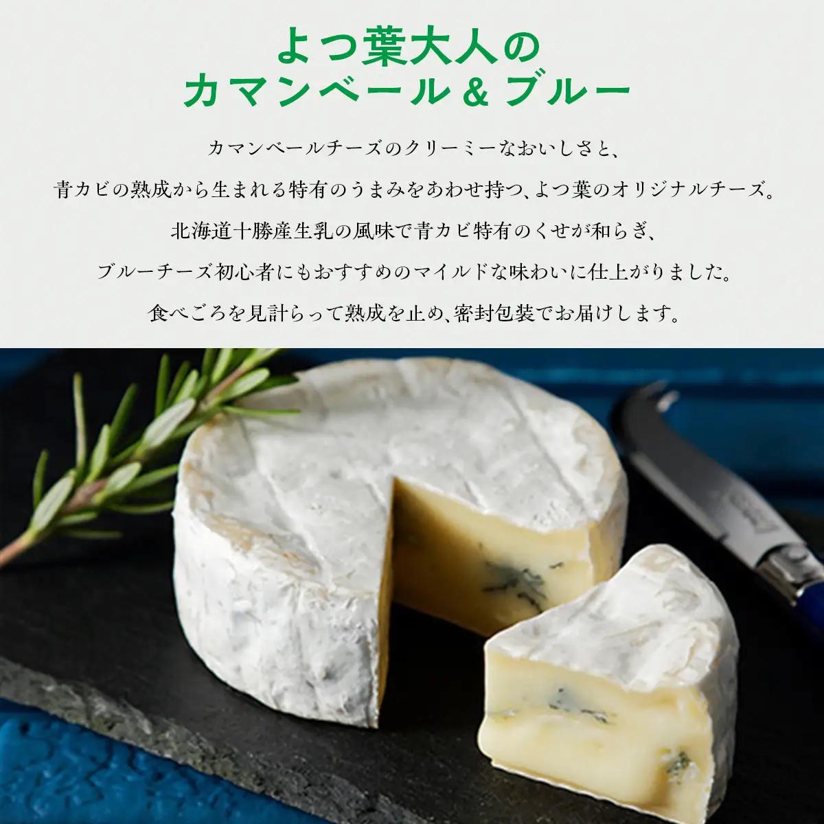 北海道十勝産 よつ葉大人のカマンベール＆ブルー6個 【  チーズ 贈答  ギフト セット  送料無料 】 SKA033