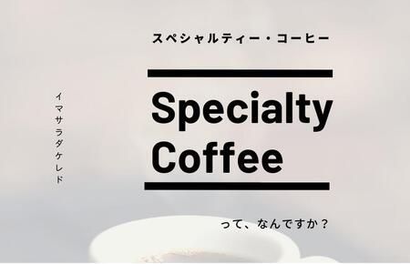 スペシャルティコーヒー焙煎豆 中深煎り 300g 定期便 全12回 12か月【毎月配送コース】