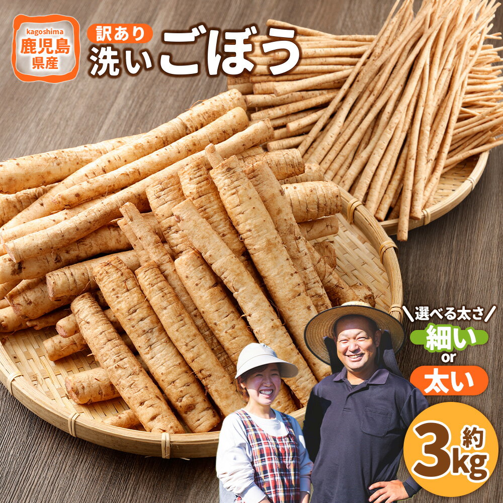 【ふるさと納税】鹿児島県産 洗い ごぼう 約3kg 【選べるサイズ】( 細い / 太い )【規格外・訳あり品】 ゴボウ 牛蒡 野菜 やさい 根菜 鹿児島県 薩摩川内市 送料無料 【2026年12月上旬-3月下旬発送予定】