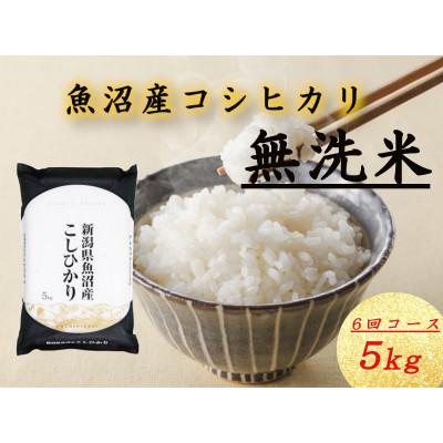 ふるさと納税 十日町市 【毎月定期便】無洗米 魚沼産コシヒカリ(精米)5kg×1袋全6回