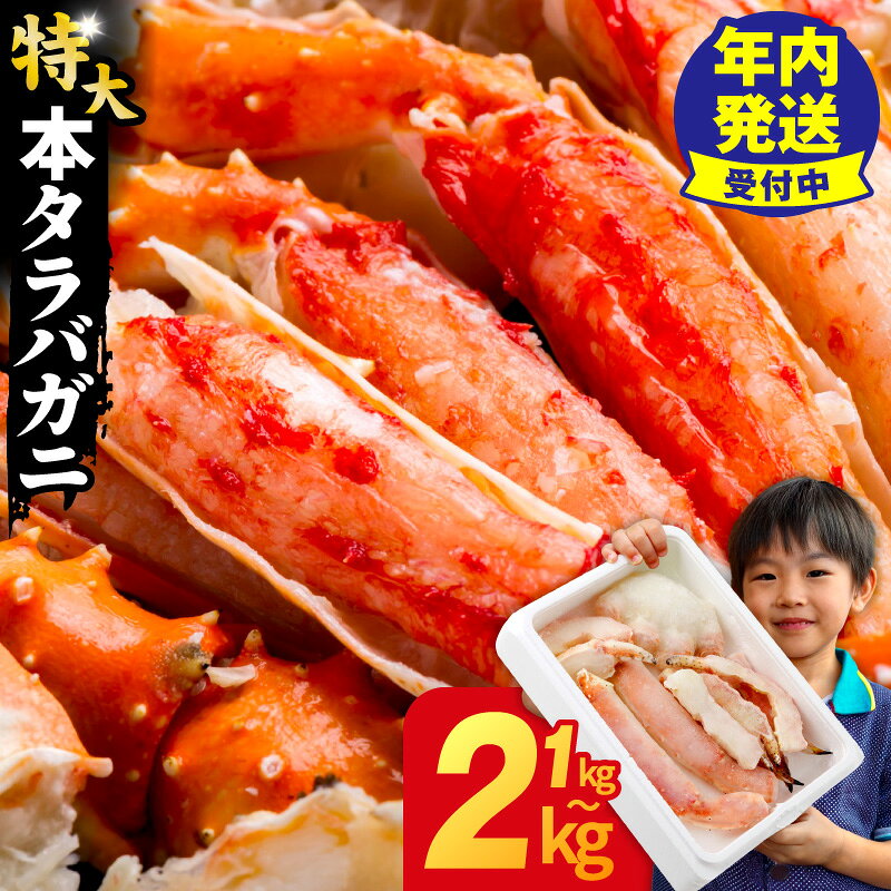 【ふるさと納税】タラバガニ 選べる ボイル 生 5L 〜 8L 特大サイズ 1kg / 2kg 訳あり サイズ不揃い カット済 カニ 簡単調理 新鮮 脚肉 ふっくら 焼き蟹 BBQ 蟹爪 蟹しゃぶ 蟹鍋 天ぷら 蟹ぞうすい 味噌汁 家族 パーティー 発送月 冷凍 大阪府 泉佐野市 送料無料 年内発送