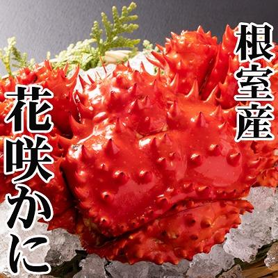 ふるさと納税 根室市 【北海道根室産】花咲かに500g前後〜650g前後×2尾 A-30054
