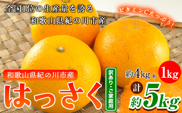【先行予約】【訳あり/ご家庭用】はっさく 八朔 4kg＋1kg  計約5kg サンファーム《1月上旬-3月末頃より出荷予定》和歌山県 紀の川市 ご家庭用---wsk_saf8_1j3m_25_7000_5kg---