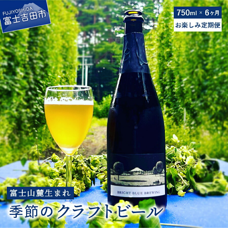 【ふるさと納税】 定期便 お楽しみ 6回 ビール クラフトビール 750ml 季節のクラフトビール シャンパンボトル ワイングラスで飲む BRIGHT BLUE BREWING さけ