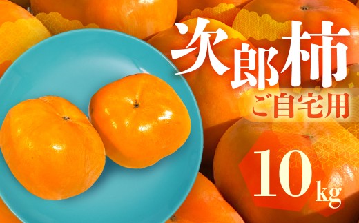 ≪令和8年産 先行予約受付中≫ 生産量日本一 愛知県豊橋産 次郎柿 ご自宅用 10kg 柿 訳あり 不揃い 甘柿 果物 フルーツ 10月 11月 愛知県 豊橋市 ビタミンC 高栄養価 食物繊維 旬をおとどけ