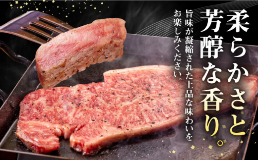 【全3回定期便】 壱岐牛 サーロインステーキ 400g（200g×2枚）《壱岐市》【株式会社イチヤマ】[JFE017] 定期便 赤身 肉 牛肉 サーロイン ステーキ 焼肉 焼き肉 BBQ 72000 
