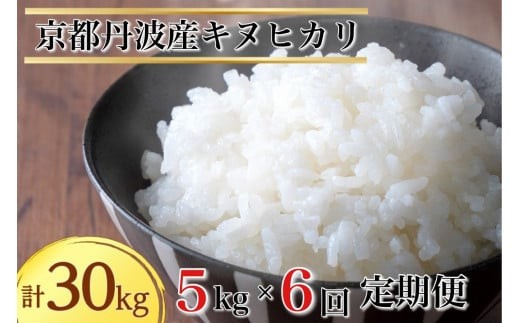 【11月発送】【定期便】令和7年産 新米 5kg 6ヶ月 京都丹波産 キヌヒカリ 白米＜JA京都 たわわ朝霧＞ 6回定期便 5kg×6回 計30kg 毎月発送に合わせて精米