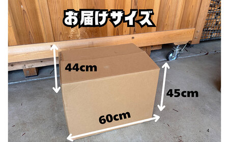 乾燥薪 40cm 針葉樹 約26kg 乾燥薪