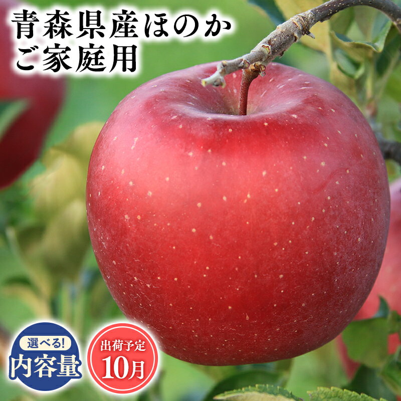 【ふるさと納税】2025年度産 先行予約!≪内容量が選べる≫青森県産 訳あり ほのか 3kg 5kg 10kg【青森県 平川市 そと川りんご園】10月発送 家庭用 青森 青森県産 平川 りんご リンゴ 林檎 くだもの 果物 フルーツ レビューキャンペーン