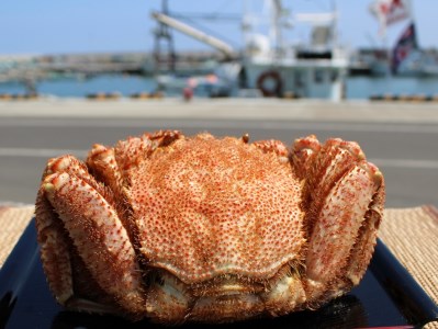 特大!毛がに（冷凍）北海道雄武町産(800g前後×1)【12404】