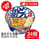 【ふるさと納税】 【定期便6カ月】日清 北のどん兵衛 天ぷらうどん [北海道仕様]24個 天ぷら てんぷら うどん カップ麺 即席めん 即席麺 どん兵衛 千歳 ケースうどん 即席麺 麺類 カップ麺 カップうどん インスタント 麺類 【北海道千歳市】ギフト ふるさと納税