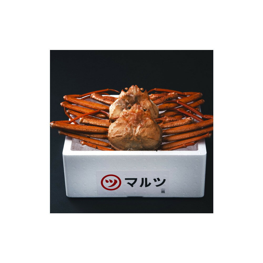 【ふるさと納税】境港産 茹で 紅ずわい蟹 大 500〜600g × 2枚 セット 産地直送 ボイル 冷蔵 鳥取県産 蟹 | 紅ズワイガニ 紅ずわいがに 蟹 かに カニ ボイル 茹で カニ姿 丸ごと 海鮮 魚介 魚介類 家庭用