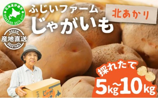 
                  ＜先行予約＞【選べる容量】北海道産 じゃがいも(北あかり) 約5kg〜10kg | ジャガイモ 馬鈴薯 ポテト 芋 イモ きたあかり キタアカリ 野菜 人気 ふじいファーム
                