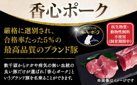 【香心ポーク】ヒレ肉 とんかつ用(計約600g)【有限会社コーシン】[BHAH010]