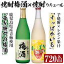 【ふるさと納税】芋焼酎リキュール×焼酎梅酒飲み比べ！すっぱかいも＆喜左衞門の梅酒セット(各720ml×2本)酒 芋焼酎 焼酎 梅酒 炭酸割 リキュール レモン 檸檬 飲み比べ セット【南国リカー】