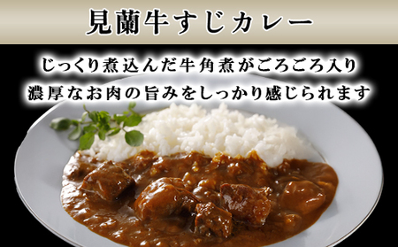 ハンバーグ 数量限定 見蘭牛 ダイニング 玄 オリジナルセット カレー シチュー ハンバーグ 各2個 計6個入り お肉