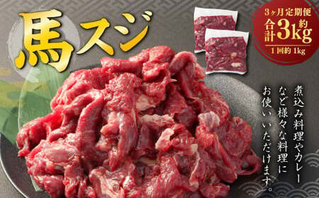 【3ヶ月定期便】 馬スジ 1kg （500g×2パック） 計3kg 馬肉 馬 お肉 肉 おかず 冷凍