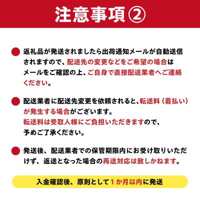 ふるさと納税 可児市 しなやかハンガー12P　 |  | 03