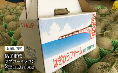 【予約注文】 ラブコール メロン 約1.3kg × 2玉 美味しい 甘い 高糖度 7月 青肉 フルーツ 果物 贈答 プレゼント 贈り物 追熟 送料無料 千葉県 銚子市 発送時期 2024年7月