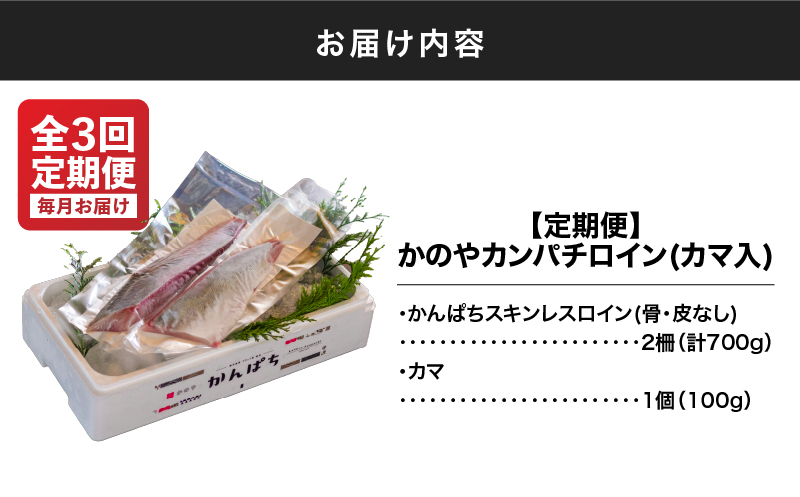 2154 【全3回定期便/毎月お届け】かのやカンパチ スキンレスロイン（カマ入） 計700g　KN001-T02