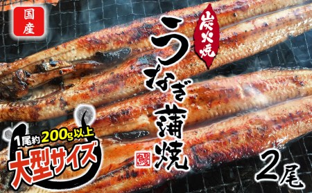 数量限定 国産 特大うなぎ 2尾 | 熊本県 うなぎ 和水町 ウナギ くまもと 鰻 なごみまち うなぎ ウナギ 鰻 冷凍  うなぎ ウナギ 鰻 2尾 うなぎ ウナギ 鰻 国産 うなぎ ウナギ 鰻