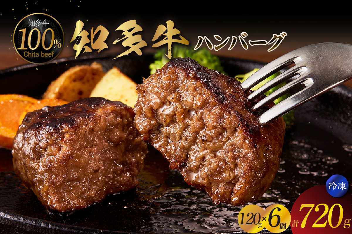 知多牛100％手作りハンバーグ　120g×6個入り