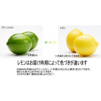 ふるさと納税 印南町 和歌山産レモン/グリーンレモン 約4kg 【国産レモン】 |  | 01