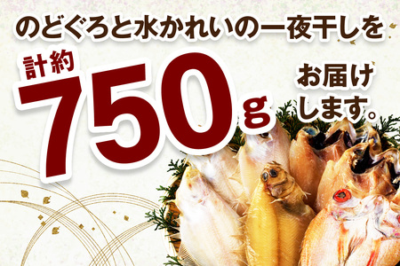 山陰浜田 香住屋のこだわり干物「水かれい・のどぐろ一夜干し」 魚介類 魚 干物 一夜干し のどぐろ 水かれい セット 詰め合わせ ふるさと納税 のどくろ【111】