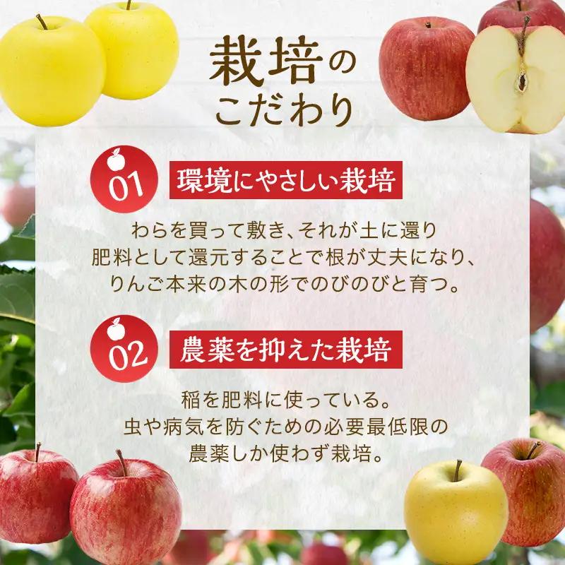 りんごジュース サンふじ シナノスイート 2本入 りんごジュース
