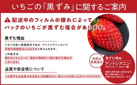 【2027年（令和9年）1月～発送】 いちご 苺 古都華プレミアムセレクト（２パック入り）甘い いちご 大粒 奈良県認証 めいとく農園