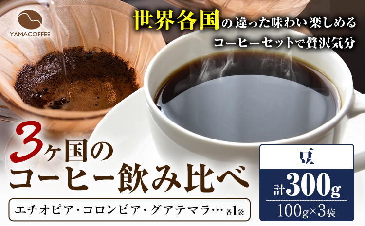 コーヒー豆 3ヶ国 飲み比べ 豆 計300g YAMACOFFEE《30日以内に出荷予定(土日祝除く)》大阪府 羽曳野市 コーヒー 豆 自家焙煎