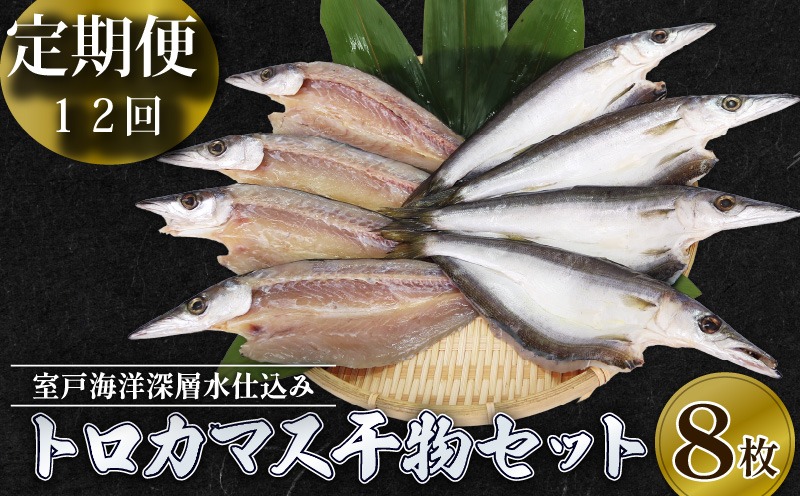魚 トロ カマス 干物 12回定期便（毎月8枚）【 室戸市 産】海洋深層水仕込み 国産 ひもの 冷凍便 でお届け 贈答 にも最適