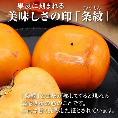 ふるさと納税 宗像市 福岡県ブランド　高級柿【秋王】3.5kg【JAほたるの里】_HA1352 |  | 02