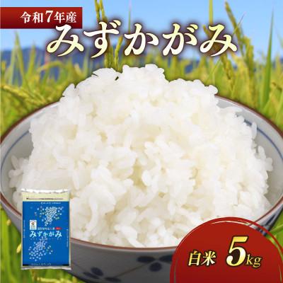 ふるさと納税 彦根市 令和7年産新米みずかがみ白米5kg 和食の旨味を引き立てるさっぱりとした味わい