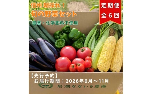 【先行予約・定期便全6回〈出荷時期:2026年6月～11月出荷〉】朝採れおまかせ旬の高原野菜 7種セット (北海道・沖縄県・離島は配送不可)　長野県　信州　栽培期間中　無農薬　産地直送　季節　旬　岩渕なないろ農園 旬彩