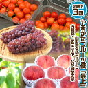 【ふるさと納税】【定期便3回】やまがた フルーツ定期便 ”最上” 山形名物フルーツ [佐藤錦・デラウェア・やや硬め白桃] 【令和7年産先行予約】FS24-538 くだもの 果物 フルーツ 山形 山形県 山形市 お取り寄せ 2025年産