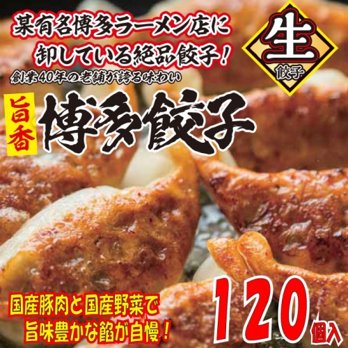 AB285.【創業40年の老舗が誇る味わい】博多餃子１２０個