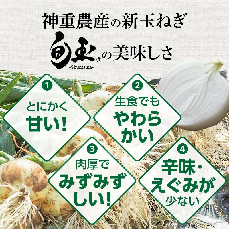 ＜フジテレビ『どっちのふるさと？』で紹介されました！＞ にんじん 新玉ねぎ 定期便 2回　旬の美味しい季節にお届け マドンナキャロット 旬玉　H105-130