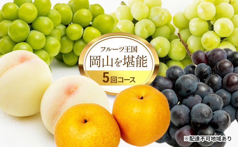 フルーツ 定期便 2026年 先行予約 フルーツ王国 岡山を堪能 5回コース 桃 もも 葡萄 ぶどう 梨 なし岡山県産 国産 果物 セット ギフト 柔らかい マスカット 甘い 酸味 高級 香り 風味 