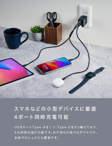 NovaPort QUAD II 67W 3C1A(ブラック)｜CIO 急速充電器 [2531]
