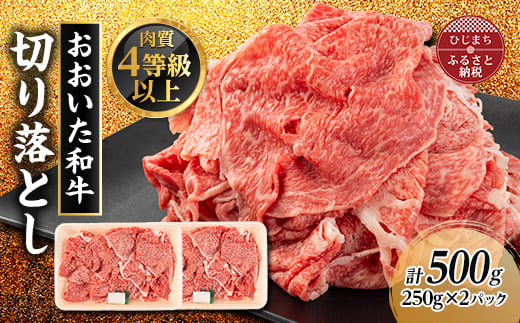 おおいた和牛　切り落とし(500g)