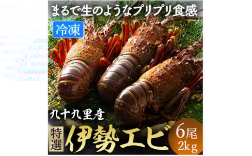 伊勢海老 リキッド凍結伊勢海老 刺身用 6尾 約2kg 九十九里 新鮮 刺し身 刺身 さしみ 真空 冷凍  旨味 甘み 鮮度 美味しい 贅沢 ご褒美 豪華 ギフト プレゼント 贈答  贈答用 記念日 家族 友人 パーティー 食事会 お祝い 祝い 送料無料 ふるさと納税 不動丸 千葉県 旭市 fdm026