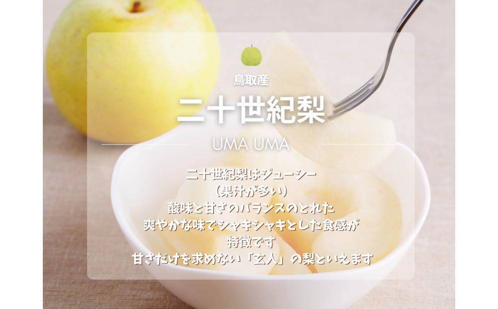鳥取県産 梨 訳あり ご自宅用 二十世紀梨 5kg 【鳥取県 境港市】