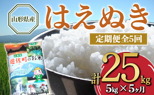 
                  【定期便】山形県産 はえぬき 5kg×5ヶ月連続（計25kg） F2Y-4587
                