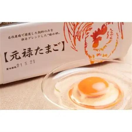 佐野市飛駒町産　大久保養鶏場　元禄卵　60個(10個入り×6パック)_卵・乳製品 卵  たまご タマゴ 玉子_【配送不可地域：離島】【1225333】