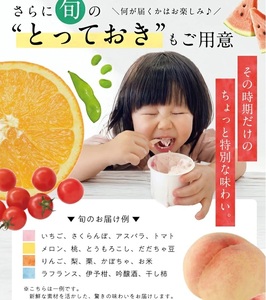SA2646　酒田のジェラート屋さん『モアレ』のジェラート・アイス　6品詰合せセット
