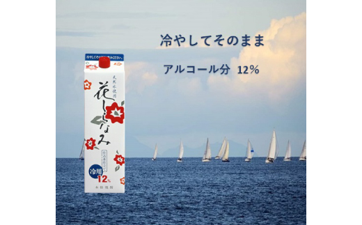 花しらなみ冷用パック 1800ml×6本　B5−1【1519986】