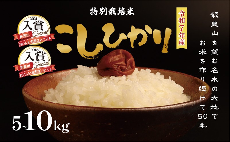 
                  【1週間～1か月程度発送】 特別栽培米 コシヒカリ 選べる 容量 5kg 10kg 白米 玄米 令和7年産 農薬使用を抑えた 特栽米 新潟県産 こしひかり 新潟米 新発田産 新潟 米 産地直送 農家 ごはん おにぎり おすすめ させ農園 新潟県 新発田市 sase001P
                