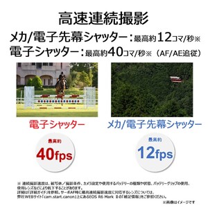 【追加レンズセット】 キヤノン ミラーレス カメラ EOS R6 MarkⅡ レンズキット & 望遠レンズ キャノン _0055C