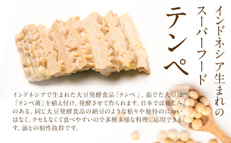 テンペ健康セットA 5種セット 矢掛テンペ 《30日以内に出荷予定(土日祝除く)》 粉末テンペ コロッケ 大豆 発酵食品 スーパーフード 岡山県矢掛町産 発酵亭